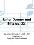 Unter Donner und Blitz op. 324