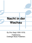 Nacht in der Wachau
