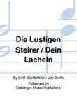 DIE LUSTIGEN STEIRER / DEIN LACHELN
