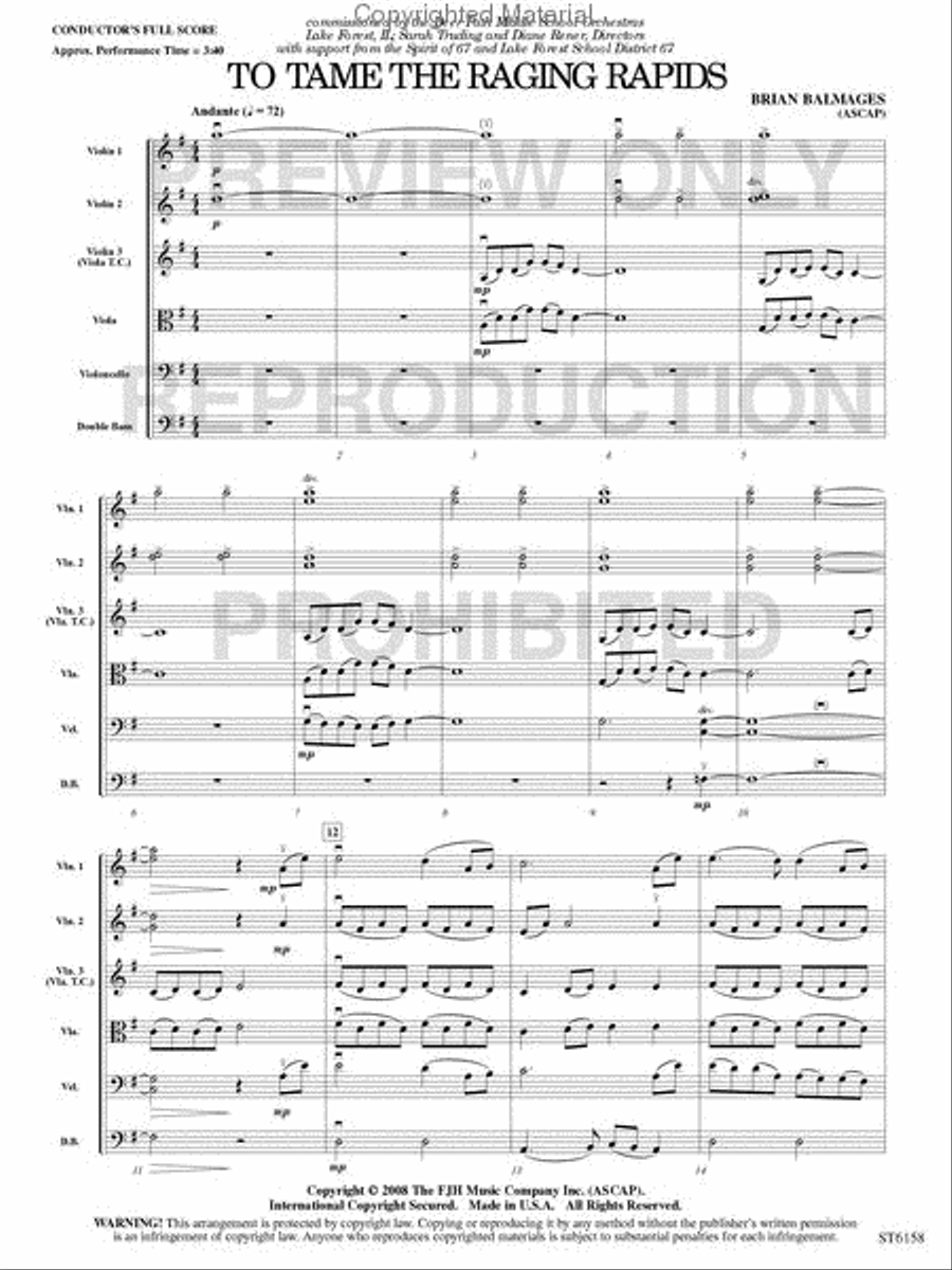 To Tame the Raging Rapids String Orchestra scores gallery preview page 2