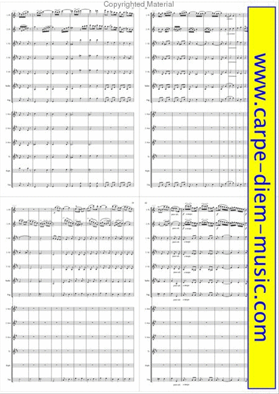 Andante und Rondo Andante und Rondo Set of Parts scores gallery preview page 11