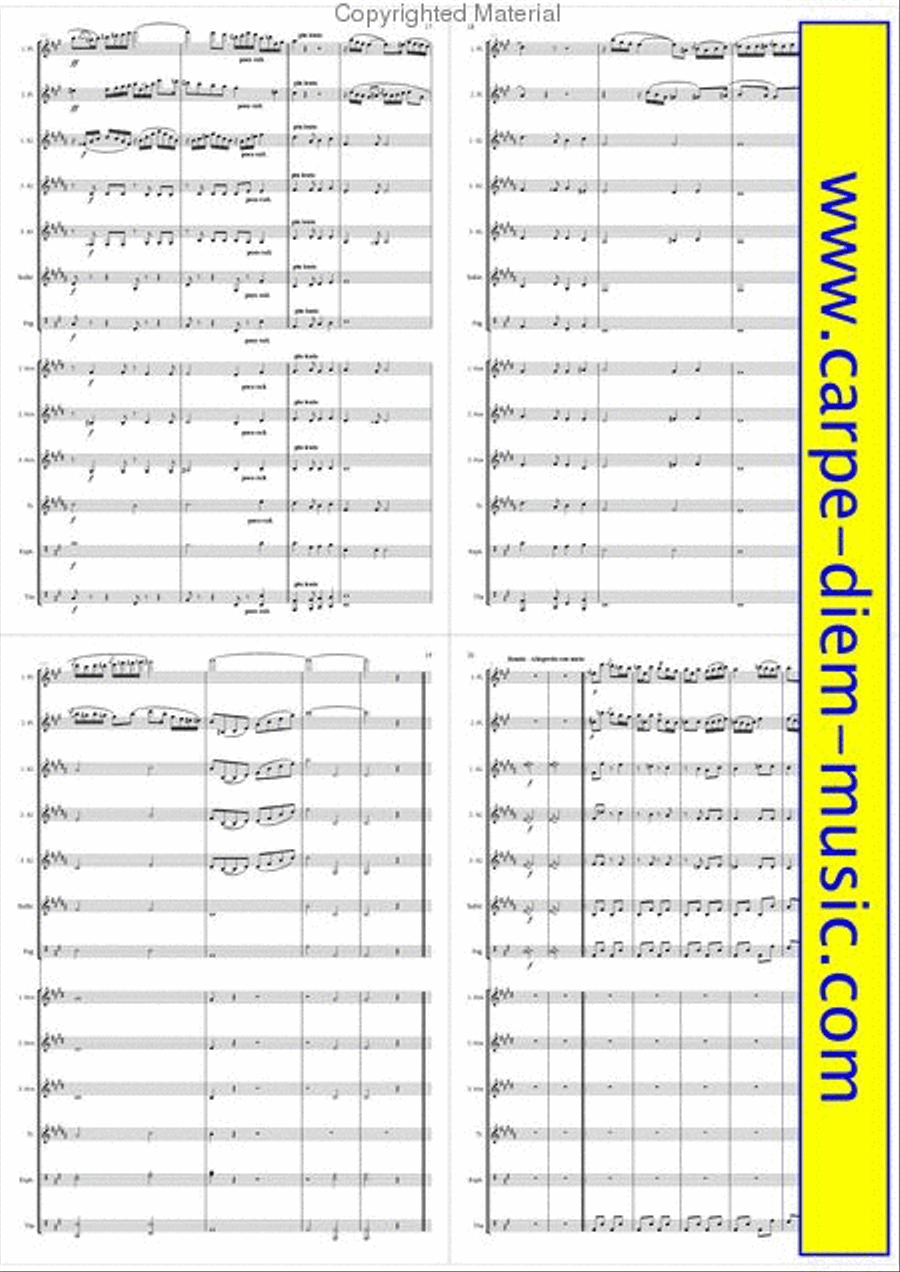 Andante und Rondo Andante und Rondo Set of Parts scores gallery preview page 6