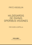 Hildegardis de divinis operibus visiones
