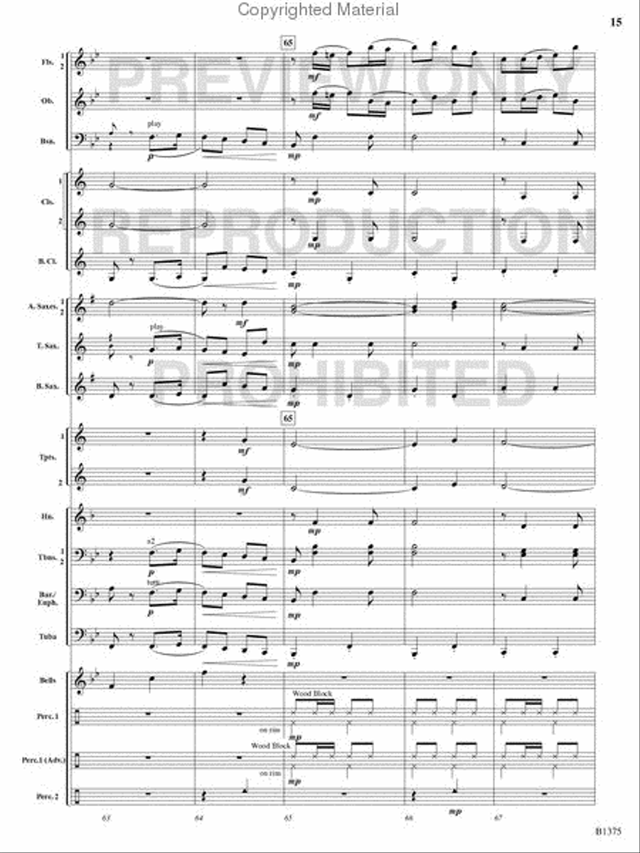 Excelsior! Excelsior! Concert Band scores gallery preview page 14