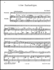 F. Cerny: Valse Fantastique 2