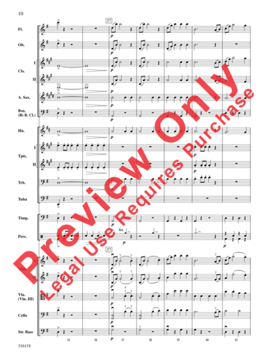 Radetzky March Radetzky March Full Orchestra scores gallery preview page 15
