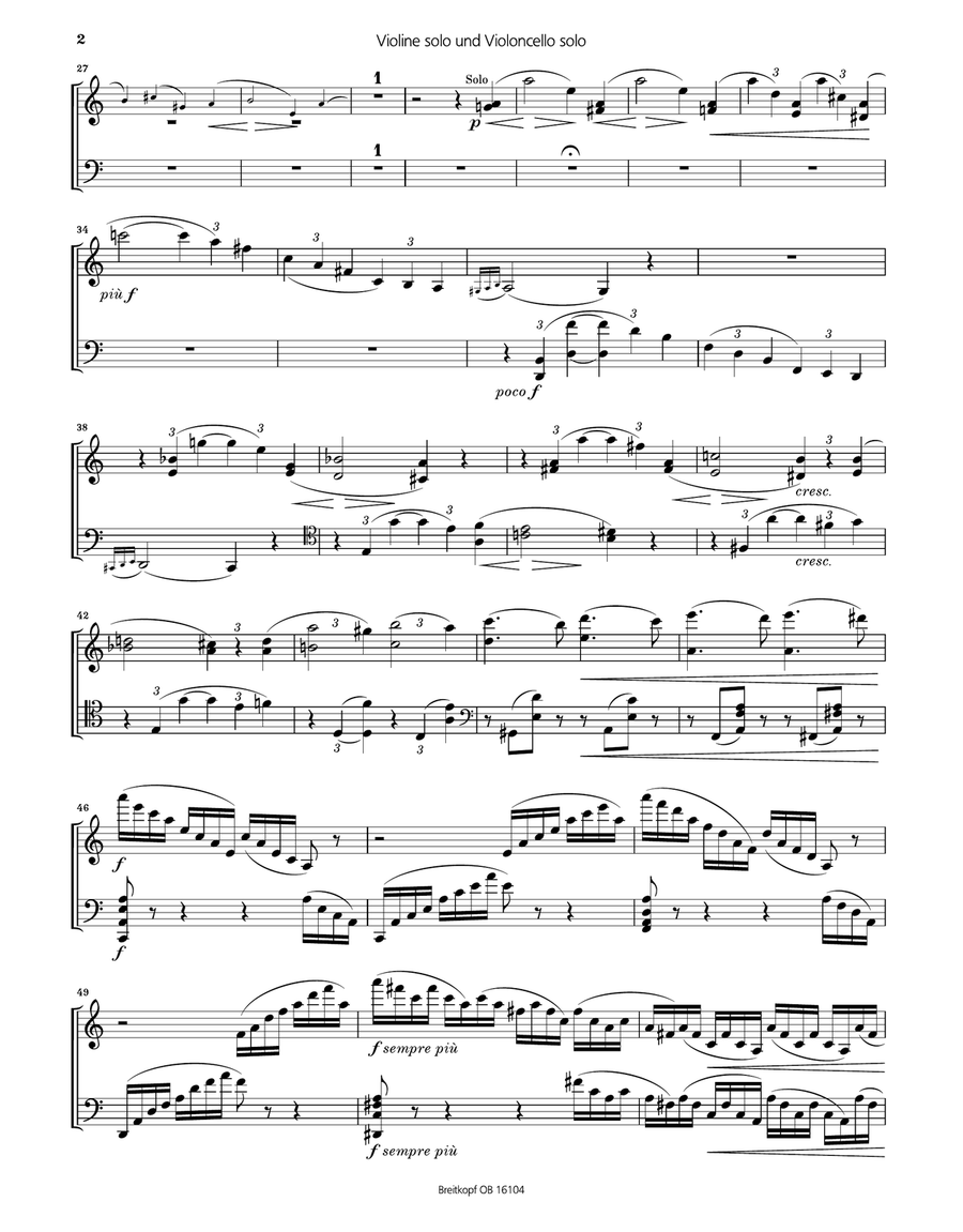 Concerto in A minor Op. 102 Orchestra scores gallery preview page 3