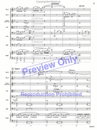Ice Sculptures String Orchestra scores gallery preview page 4