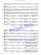 Ice Sculptures String Orchestra scores gallery preview page 9