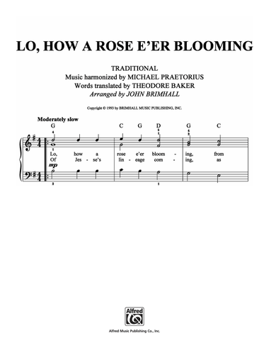 Lo, How A Rose E'er Blooming