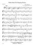 Waltz from The Sleeping Beauty: 2nd Violin