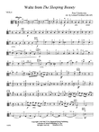 Waltz from The Sleeping Beauty: Viola