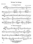 B-Suite for Strings: String Bass