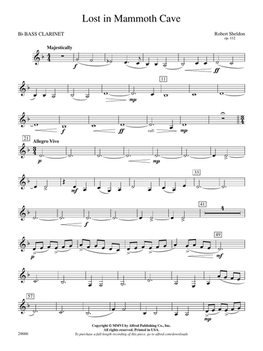 Lost in Mammoth Cave: B-flat Bass Clarinet