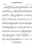 Celestial Welcome: Vibraphone