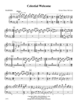 Celestial Welcome: Mallets
