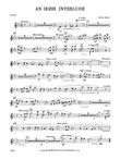 An Irish Interlude: Flute