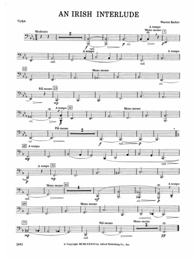 An Irish Interlude: Tuba