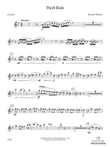 Thrill Ride: Flute