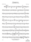 Chopagroove: String Bass