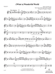 (What A) Wonderful World: 1st Violin