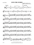 Into the Storm: Flute