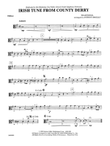 Irish Tune from County Derry: Viola