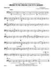 Irish Tune from County Derry: String Bass