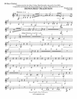 Honoured Tradition: B-flat Bass Clarinet