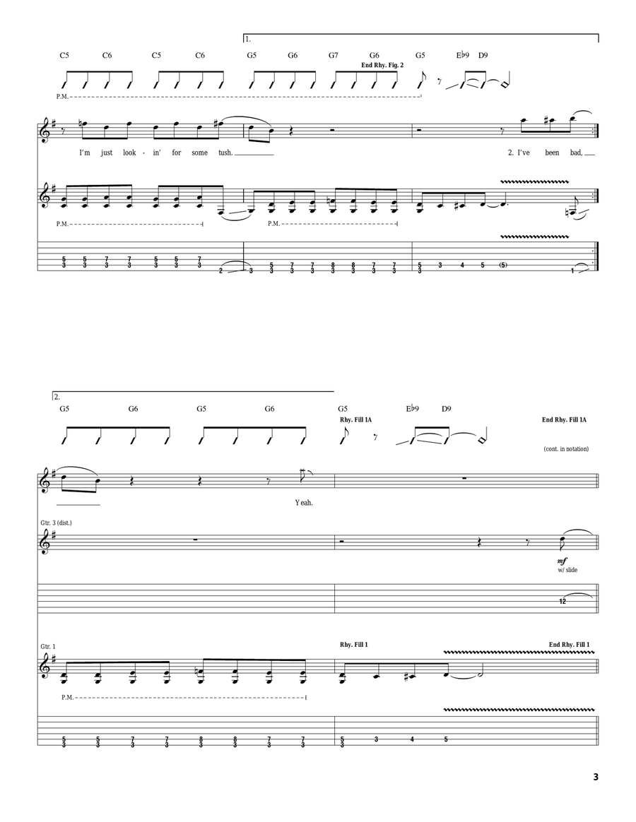 Tush Tush Acoustic Guitar scores gallery preview page 3