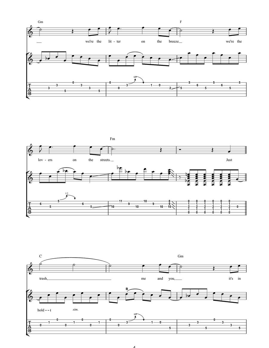Trash Trash Acoustic Guitar scores gallery preview page 4