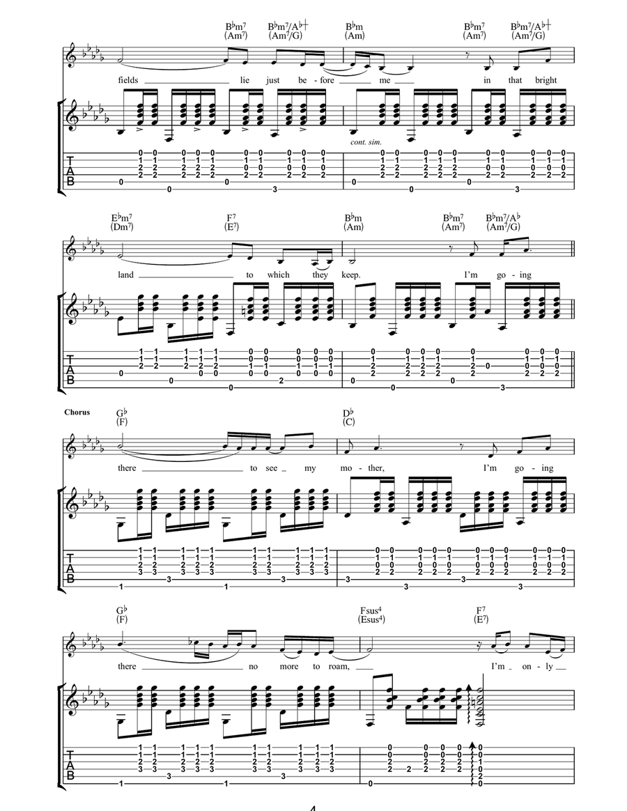Wayfaring Stranger Acoustic Guitar scores gallery preview page 4