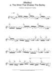 (Medley) a. The Wind That Shakes The Barley; b. The Reel With The Beryle