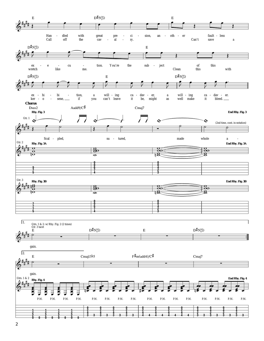 If You Can't Leave It Be, Might As Well Make It Bleed Acoustic Guitar scores gallery preview page 2