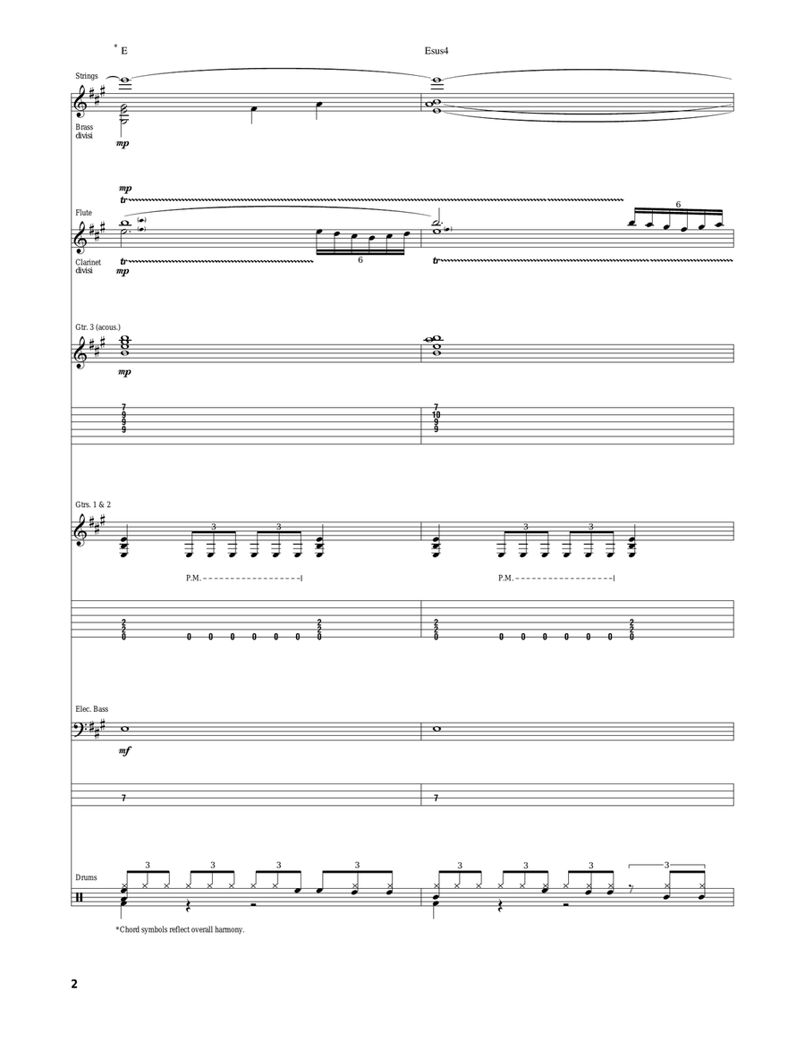 We're Not Gonna Protest We're Not Gonna Protest Acoustic Guitar scores gallery preview page 2