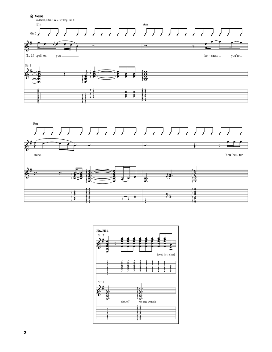 I Put A Spell On You Acoustic Guitar scores gallery preview page 2