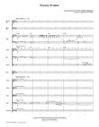 Precious Promise - Score