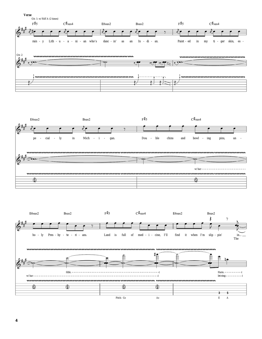 Especially In Michigan Especially In Michigan Acoustic Guitar scores gallery preview page 4