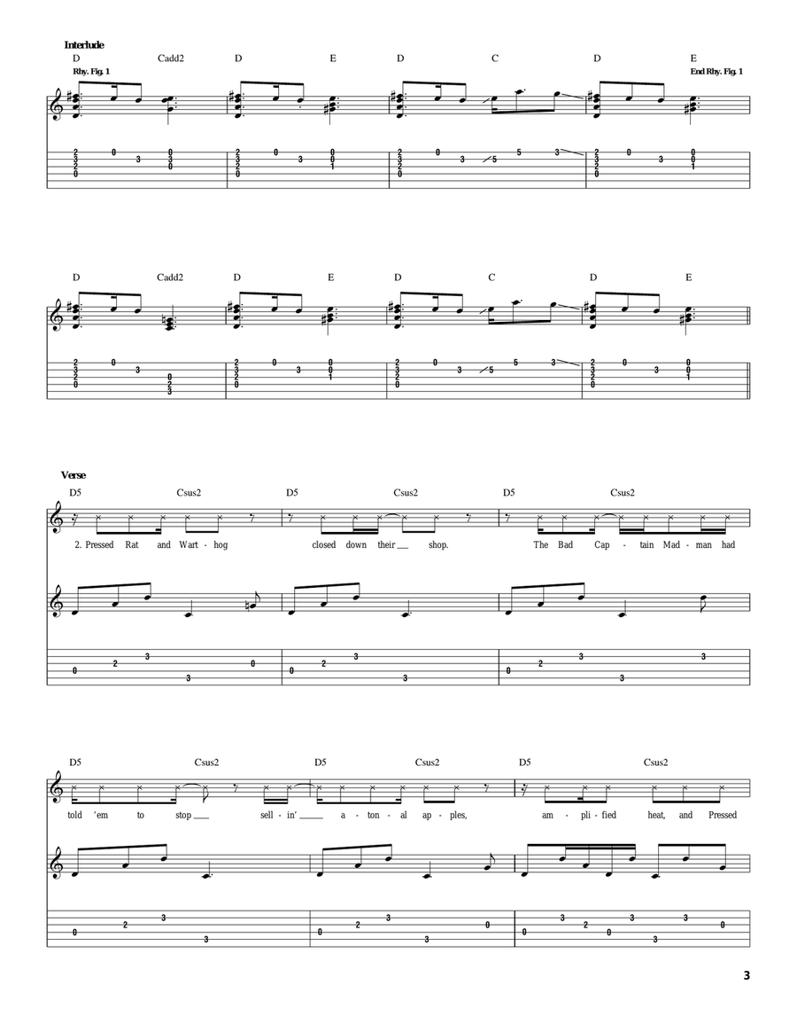 Pressed Rat And Warthog Acoustic Guitar scores gallery preview page 3