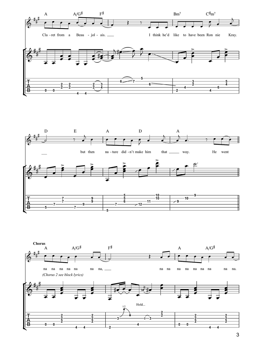 Charmless Man Charmless Man Acoustic Guitar scores gallery preview page 3