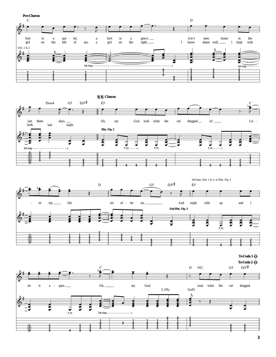 Look What The Cat Dragged In Acoustic Guitar scores gallery preview page 3