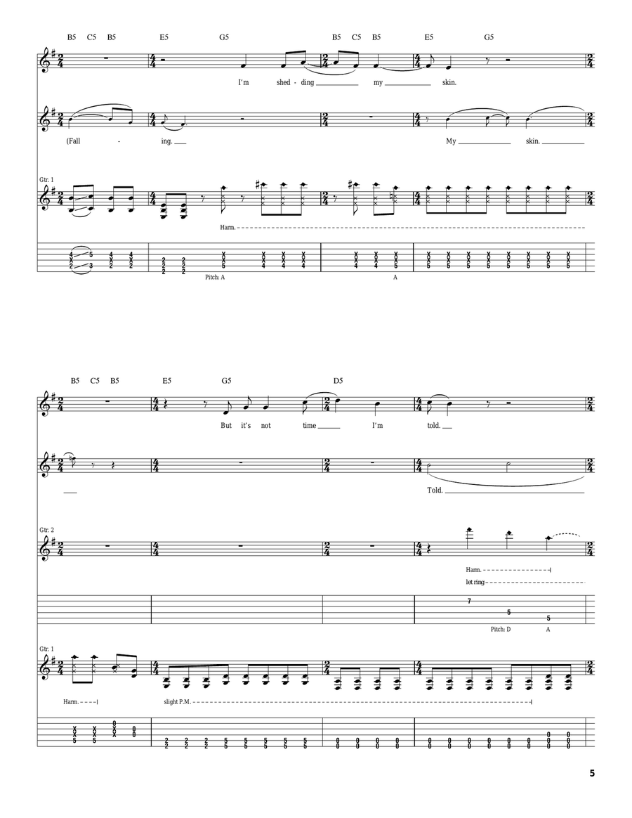 I'm Sorry I'm Sorry Acoustic Guitar scores gallery preview page 5