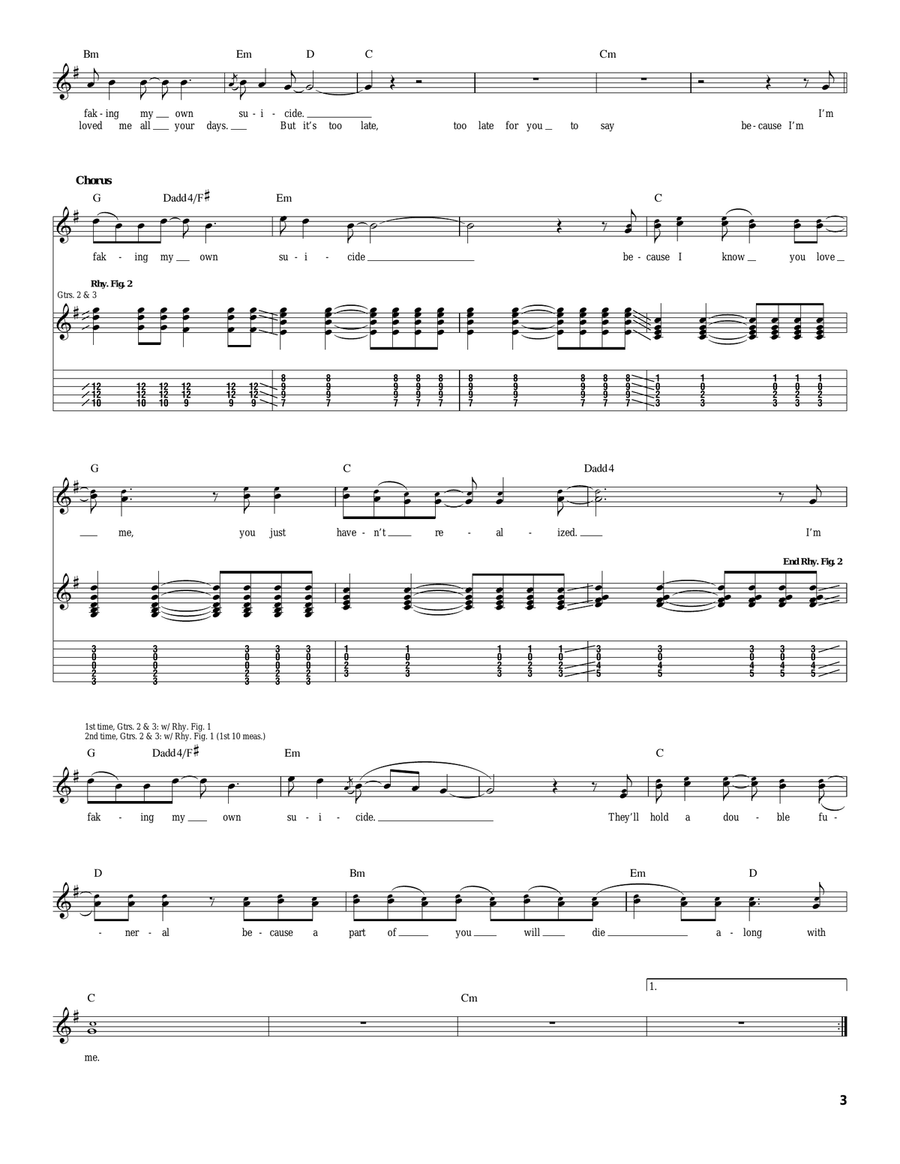 Faking My Own Suicide Faking My Own Suicide Acoustic Guitar scores gallery preview page 3