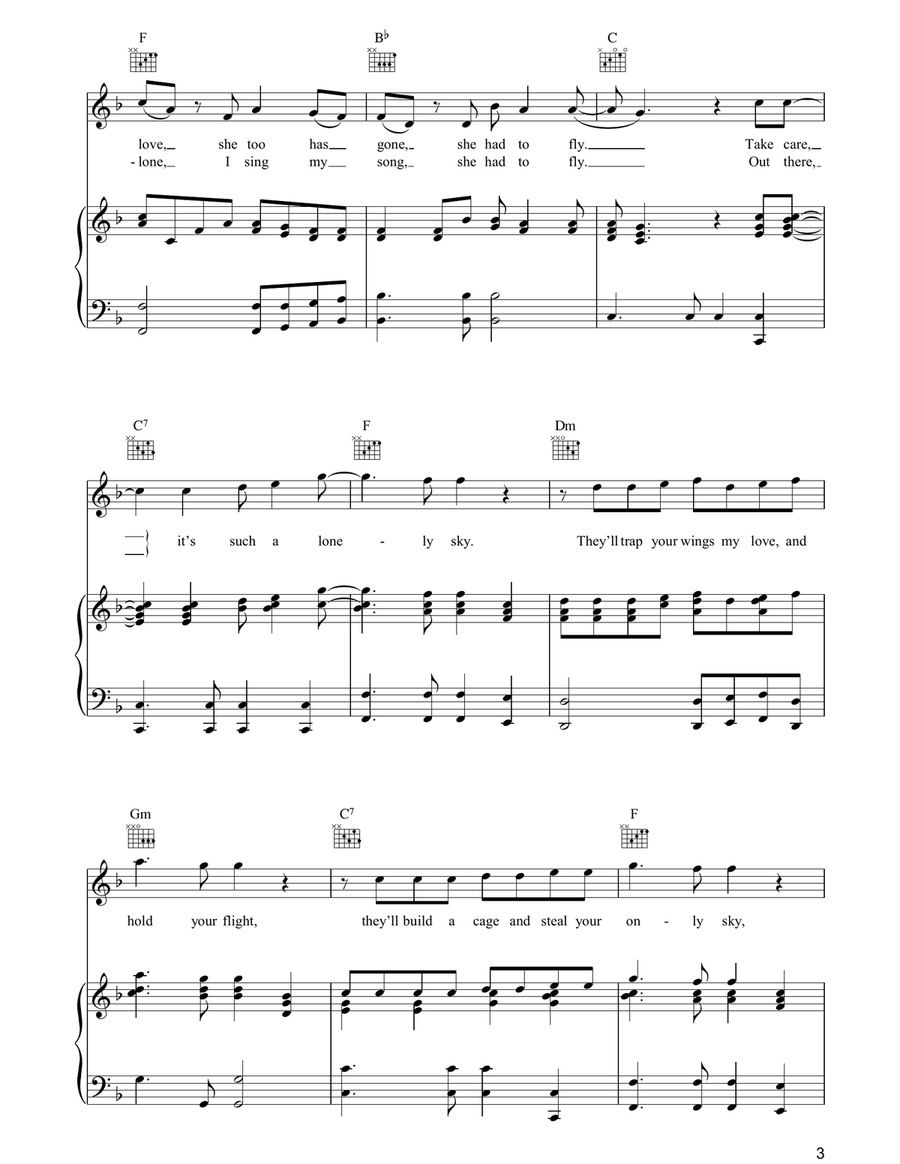 Lonely Sky Lonely Sky Acoustic Guitar scores gallery preview page 3
