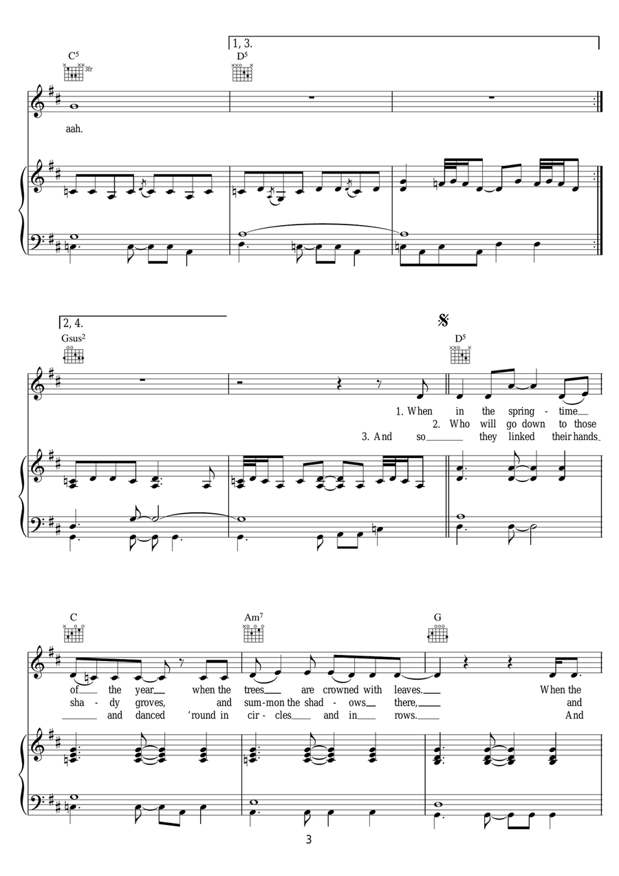 The Mummers' Dance The Mummers' Dance Acoustic Guitar scores gallery preview page 3