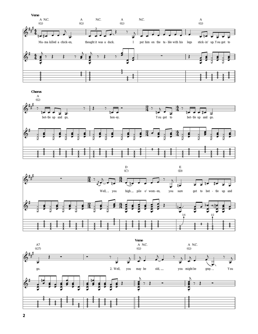 Bottle Up And Go Bottle Up And Go Acoustic Guitar scores gallery preview page 2