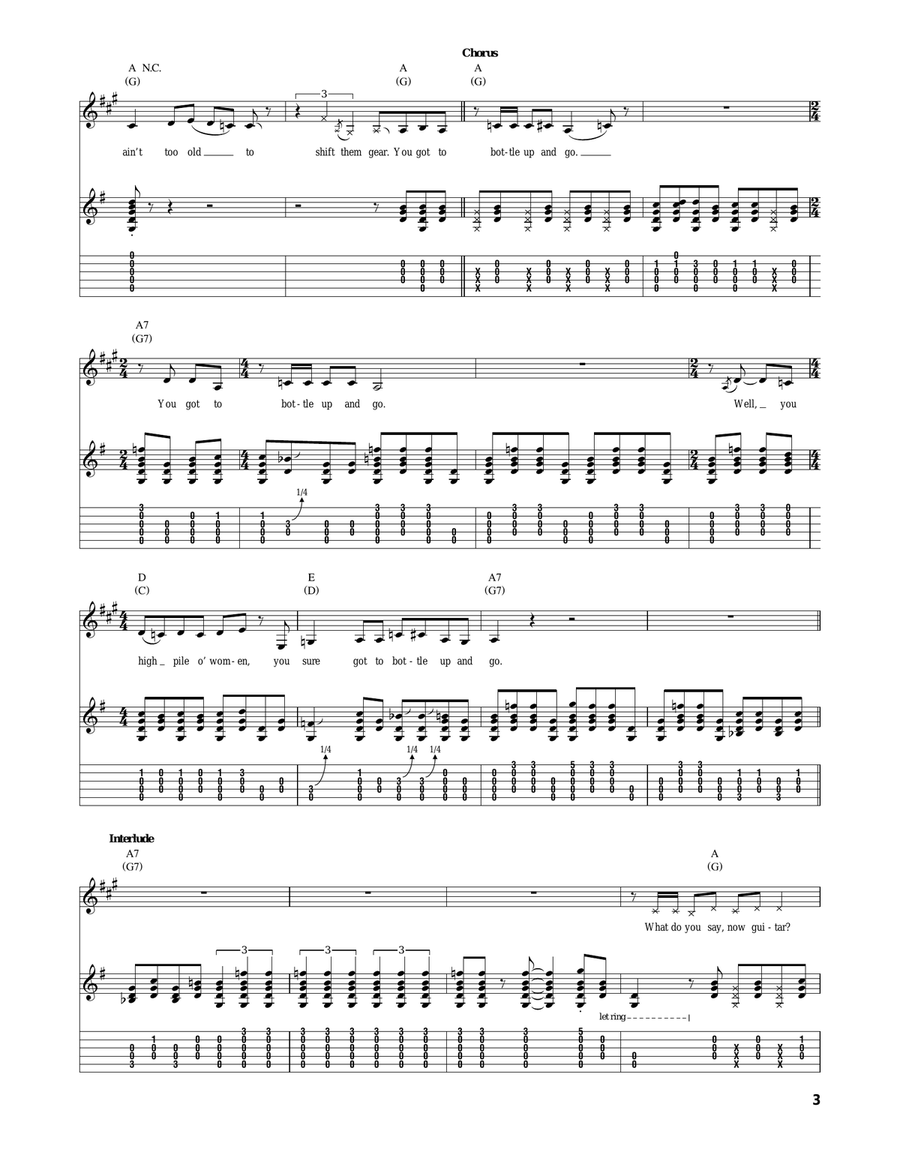 Bottle Up And Go Bottle Up And Go Acoustic Guitar scores gallery preview page 3