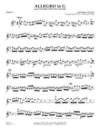 Allegro in G - Violin 1