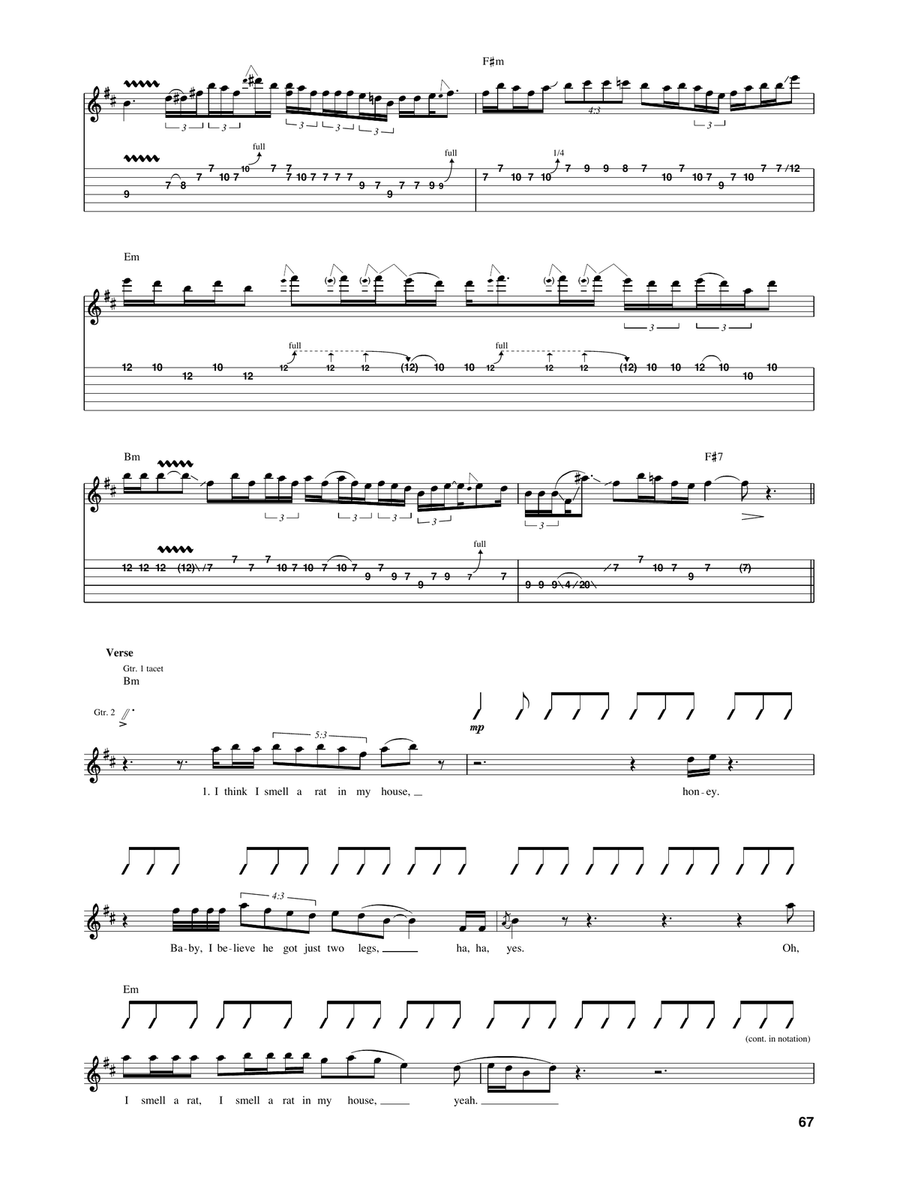 I Smell A Rat I Smell A Rat Acoustic Guitar scores gallery preview page 6