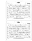 S.O.S. - Flute/Piccolo
